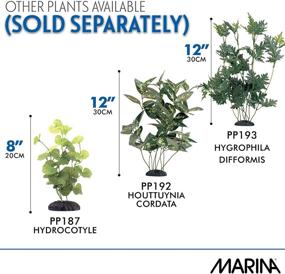 img 2 attached to Enhance Your Fish Tank with Marina Ecoscaper 12-Inch Silk Plant Trapa Natans – PP194!