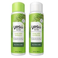 yes to tea tree scalp relief: soothing shampoo & sage oil conditioner combo for itchy scalp – 97% natural ingredients (2 count) logo