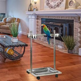 img 1 attached to 🐦 Adjustable Height Rolling Metal Bird Feeder Stand - Ozzptuu Parrot Playstand with Universal Wheels, Perch, and Feeding Bowls