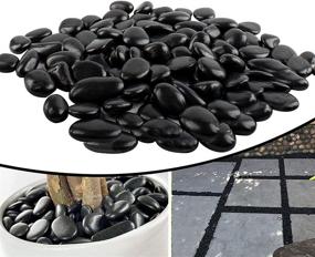 img 4 attached to 🪨 5 lb Bulk Bag of Black Pebbles – Ideal for Plants, Aquariums, Fish Tanks – 1"-1.5" Garden Stone Decor, Natural River Rocks – Polished & Decorative
