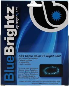 img 2 attached to 💡 EverydayBrightz Blue LED Fairy Light Accessory - DIY Creative Lighting Solution