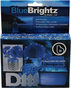 img 3 attached to 💡 EverydayBrightz Blue LED Fairy Light Accessory - DIY Creative Lighting Solution