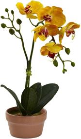 img 2 attached to Nearly Natural 4991 S4 Phalaenopsis Orchid