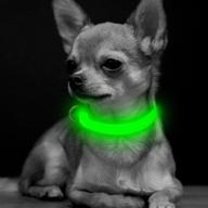 🐾 bseen xs led dog collar: rechargeable & adjustable light-up collar for small dogs & cats logo