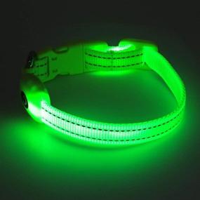 img 1 attached to 🐾 BSEEN XS LED Dog Collar: Rechargeable & Adjustable Light-up Collar for Small Dogs & Cats