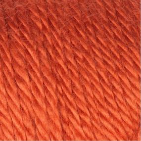 img 1 attached to 🎃 Pumpkin H97003-9765 Caron Simply Soft Yarn Solids (3-Pack) – Superior Quality and Vibrant Color for Knitting and Crochet Projects