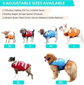 img 3 attached to 🐶 Queenmore Dog Life Jacket: Safety Vest for Water Activities - Adjustable Rip-Stop, with Rescue Handle - Ideal for Swimming, Beach, Boating