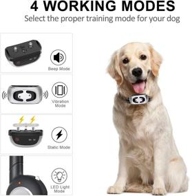 img 3 attached to 🐕 Rainproof Dog Training Collar with Remote - Rechargeable, 1500Ft Remote Range - 4 Working Modes: Beep, Vibration, Shock & Light - Adjustable Shock Collar for Dogs