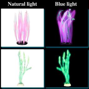 img 2 attached to Glowing Fish Tank Decorations: 8-Piece Set of Frienda Plants – Kelp, Sea Anemone, Coral, Jellyfish, Lotus Leaf, Mushroom – Aquarium Glow Ornament