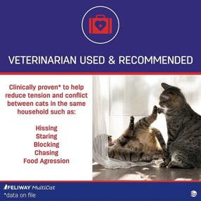 img 3 attached to 🐈 FELIWAY MultiCat Calming Pheromone Refill - 6 Pack for 30 Days of Stress-Free Harmony