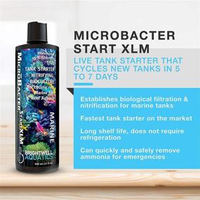 img 3 attached to 🐠 Enhance Your Saltwater Marine Reef Aquarium with Brightwell Aquatics Microbacter Start XLM - Live Bacteria Culture for Effective Biological Filtration and Nitrification