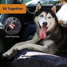 img 1 attached to Peteast Waterproof Dog Car Seat Cover for Back Seat, Scratchproof Hammock with Large Mesh Window, Dog Seat Belt Included, Storage Bag, Durable Washable Nonslip Backseat Protector for Cars & SUVs