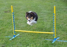 img 1 attached to 🐶 Enhance Your Dog's Agility with Cool Runners Set of 2, 4FT Wide Dog Agility Jumps - Includes Carrying Case!