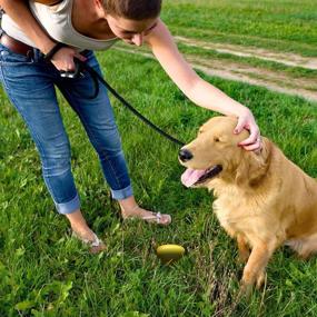 img 1 attached to Simple Solution Pee Post: Pheromone-Infused Stake 🐾 for Effective Outdoor Potty Training with GO HERE Technology