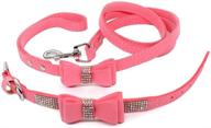 🎀 charmsong bowtie dog collar: stylish rhinestone jeweled crystal soft collar for small dogs with matching leash logo