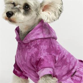 img 1 attached to 🐶 Fitwarm Договая одежда в технике тай-дай: худи-платье из 100% хлопка с юбкой для собак-девочек - дышащий наряд для щенков, кошачий свитшот.