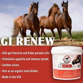 img 2 attached to Pennwoods Equine Products 121344 Digestives