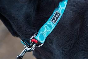 img 1 attached to 🐶 Adjustable No Pull Dog Collar Twist with 100% Recycled Material, Reflective Details, and Safety Lock Closure - Ideal for Small, Medium, and Large Breeds