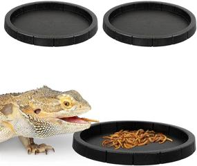 img 3 attached to POPETPOP Reptile Feeding Bowls Tortoise