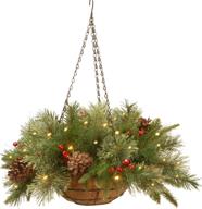national tree co. pre-lit 'feel real' christmas hanging basket - colonial décor, frosted pine cones, berry clusters, white lights, 20-inch logo