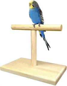 img 4 attached to LINSHRY Bird Training Stand: Portable 🐦 Tabletop Perch for Parakeets, Conures, Lovebirds, and Cockatiels