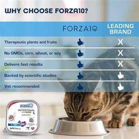 img 1 attached to 🐟 Forza10 Wet Cat Food Intestinal: Salmon Flavor for Adult Cats with Sensitive Stomachs & Digestive Issues