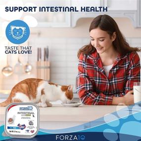 img 3 attached to 🐟 Forza10 Wet Cat Food Intestinal: Salmon Flavor for Adult Cats with Sensitive Stomachs & Digestive Issues