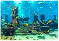 undersea city ruins aquarium poster: vibrant pvc coral background for fish tank wall decor логотип