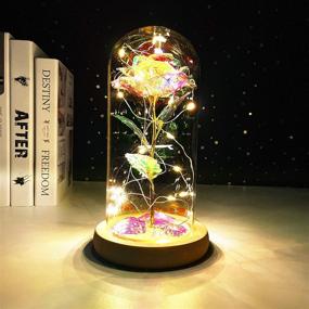 img 3 attached to 🌹 NAWEIDA Beauty and The Beast Galaxy Rose Flower Gift – LED Lights Glass Dome Infinity Crystal Rose Flower Enchanted Glass Rose for Women
