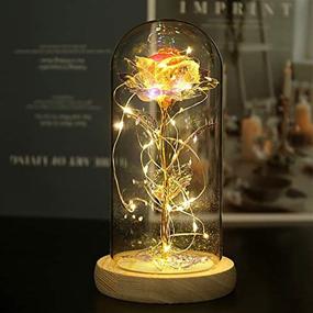 img 4 attached to 🌹 NAWEIDA Beauty and The Beast Galaxy Rose Flower Gift – LED Lights Glass Dome Infinity Crystal Rose Flower Enchanted Glass Rose for Women