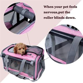 img 1 attached to 🐱 GAPZER Large and Medium Cat Pet Carrier, Soft-Sided Carrier for Big Medium Cats and Puppies, Dog and Cat Carriers, Privacy Protection Travel Carrier