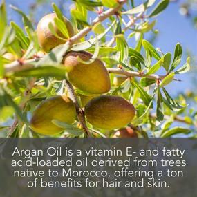 img 1 attached to 💎 Discover the Transformative Power of Pure Body Naturals Organic Argan Oil for All Your Beauty Needs, 4 fl oz