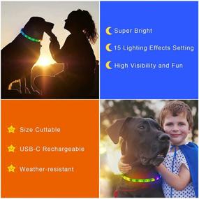 img 1 attached to Waterproof Color Changing LED Dog Collar - USB Rechargeable, 15 Display Modes, Ideal for Small, Medium, and Large Dogs. Enhance Pet Safety, Visibility, and Spotting