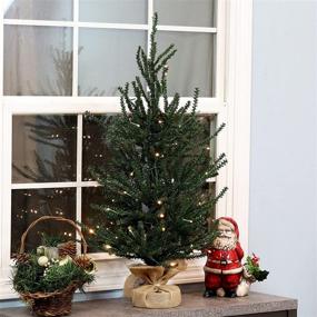 img 3 attached to 🎄 Sunnydaze 3-Foot Festive Pine Pre-Lit Christmas Tree - Green PVC Artificial Pine Tree with Steel Frame and Burlap Base - 27 Branch Tips - 70 LED Lights with Timer