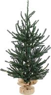 🎄 sunnydaze 3-foot festive pine pre-lit christmas tree - green pvc artificial pine tree with steel frame and burlap base - 27 branch tips - 70 led lights with timer logo