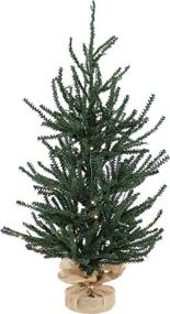 img 4 attached to 🎄 Sunnydaze 3-Foot Festive Pine Pre-Lit Christmas Tree - Green PVC Artificial Pine Tree with Steel Frame and Burlap Base - 27 Branch Tips - 70 LED Lights with Timer