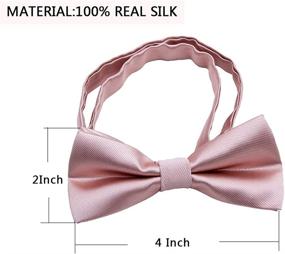 img 1 attached to 🎀 Stylish Silk Bow Ties for Kids - Boys' Accessories Collection