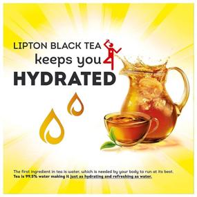 img 1 attached to 🍵 Lipton Unsweetened Gallon-Sized Iced Tea Bags, Picked at Peak Freshness - Supports a Healthy Heart, 48 Oz, 48 Count