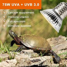 img 1 attached to AngleKai Full Spectrum UVA UVB Reptile Heat Lamp Bulb 75W - 6 Pack for Optimal Turtle Sunbathing