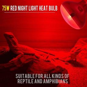 img 2 attached to 2 Pack: 75W Infrared Basking Spot Heat Lamp Bulb for Pet Lizards, Dragons, Chameleons, Snakes, Reptiles & Amphibians