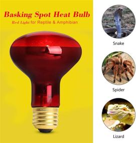 img 1 attached to 2 Pack: 75W Infrared Basking Spot Heat Lamp Bulb for Pet Lizards, Dragons, Chameleons, Snakes, Reptiles & Amphibians