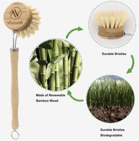 img 3 attached to 🧹 Premium Wooden Dish Brush with Bamboo Wood Handle and Natural Bristles - Includes 2 Replacement Brush Heads for All Kitchen Cleaning Needs