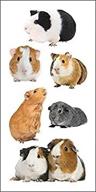 📸 set of 6 paper house productions st-2237e photo real stickypix stickers, 2-inch by 4-inch, guinea pigs - improved seo logo