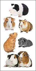 img 2 attached to 📸 SET of 6 Paper House Productions ST-2237E Photo Real Stickypix Stickers, 2-Inch by 4-Inch, Guinea Pigs - Improved SEO