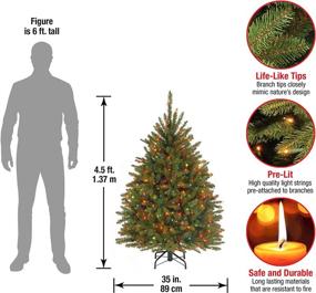 img 2 attached to 4-Foot Green Dunhill Fir Pre-Lit Mini Christmas Tree 🎄 by National Tree Company – Multicolor Lights & Stand Included