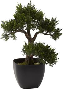 img 1 attached to Naturally Beautiful: Discover the Nearly Natural 4966 Cedar Bonsai Artificial Tree!