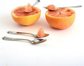 img 1 attached to Norpro Stainless Steel Deluxe Grapefruit Spoons, Set 🥄 of 4 - High-Quality Metallic Spoons for Effortlessly Enjoying Grapefruits