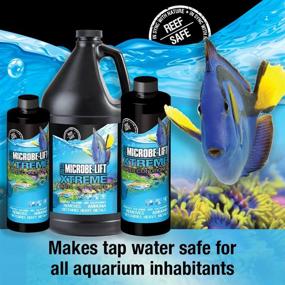 img 3 attached to 🐠 MICROBE-LIFT XTA16 Xtreme Water Conditioner Treatment: A Comprehensive Solution for Aquariums and Fish Tanks