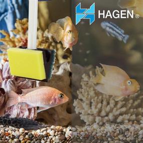 img 3 attached to 🐠 Premium Marina 4-in-1 Aquarium Scraper: Enhance Your Cleaning Experience