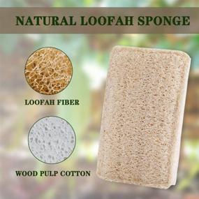 img 3 attached to Wangda.G 6 Pack Natural Loofah Kitchen Sponges - Eco-Friendly Reusable Dish Sponges and Scrubbers for Dishes, Luffa Sponges for Washing Dishes - Ideal for Dishwashing